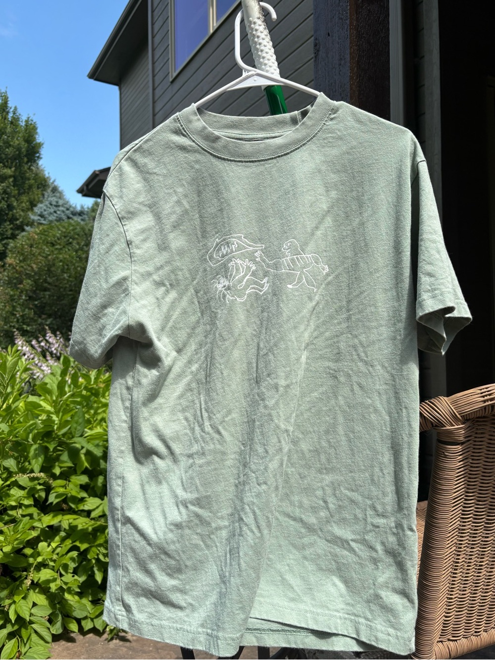 Passport Light Sage Graphic T-Shirt